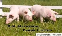 R.M. Matheson Farms Limited